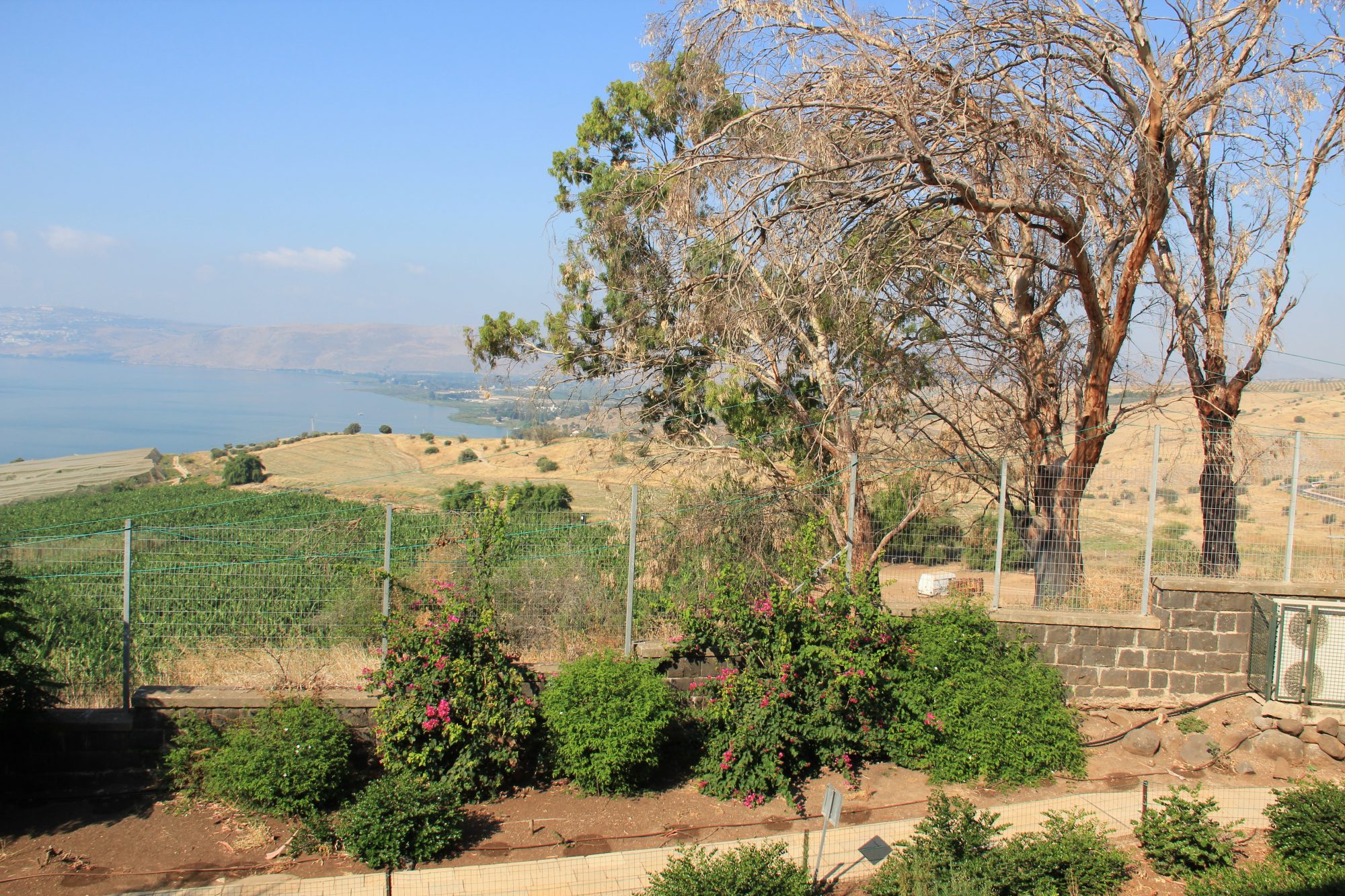 Mount of Beatitudes 28